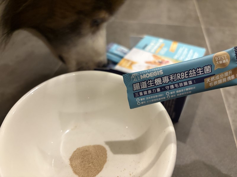女人知己試用大隊,口碑行銷,部落客行銷,Moegis萌吉 腸道生機專利RBE益生菌,寵物益生菌,專利RBE益生元,專利蔬果酵素,小分子胜肽,藍藻粉,維持免疫力,幫助維持消化道機能,維持正常食慾,改變細菌叢生態,腸胃保健,犬貓適用